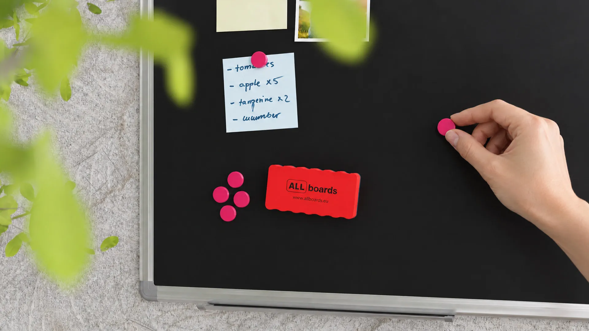 Magnete für Whiteboards, 20 mm – 10 Stück, ROSA – Bild 5