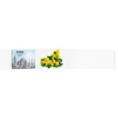Magnetplatte rahmenloses SLIMboard - Magnetisches trocken abwischbares Whiteboard 60x5 cm